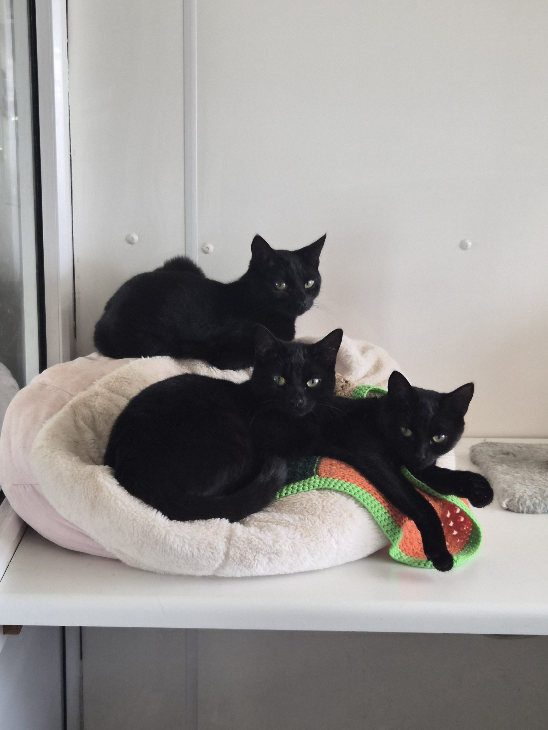 Siuna, Sheena & Sara
