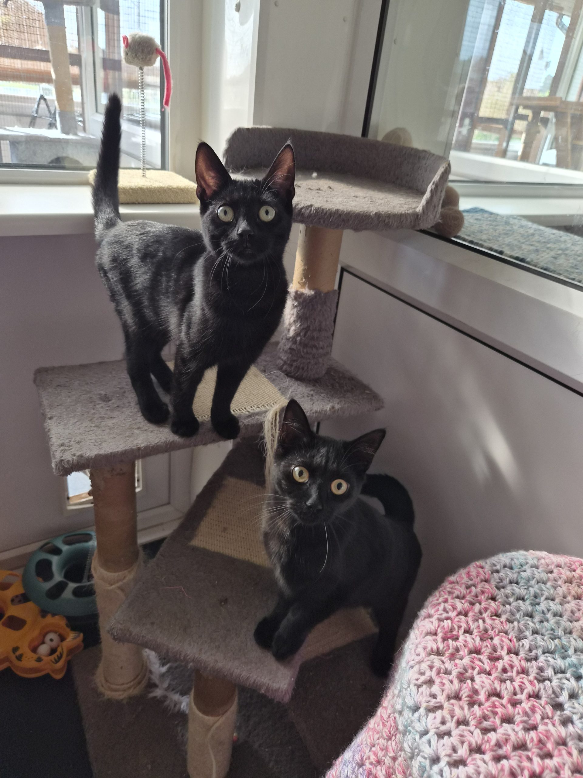 Uno & Upton